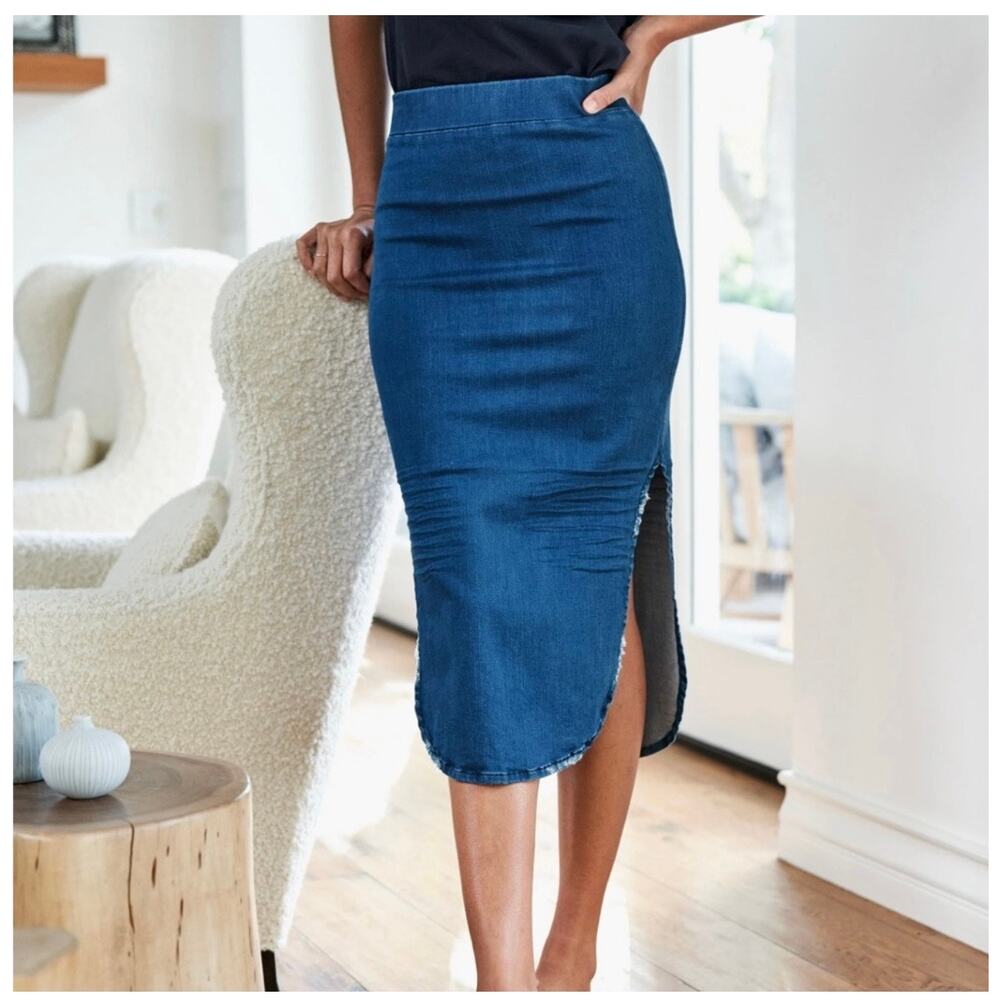 Frank & Eileen Donegal Denim Skirt, Size 2 - New
